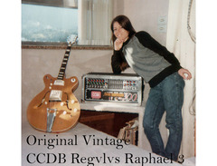 Tim Bernardes's Custom Modified Regvlvs Raphael Guitar image 4