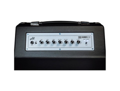 Aguilar Tone Hammer 210 300-watt, 2 x 10-inch Combo Amplifier image 4