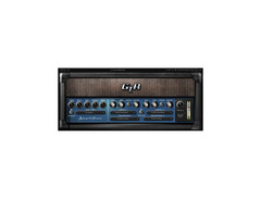 Waves GTR3 - guitar amp bundle image 4