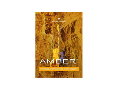 UJAM Virtual Guitarist Amber image 2
