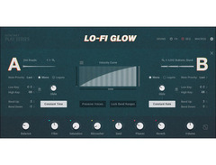 Native Instruments Lo-Fi Glow image 2
