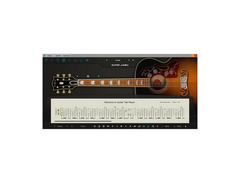 Amplesound AGSJ image 2