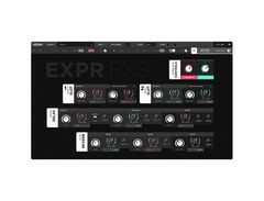 Expressive E Noisy image 4