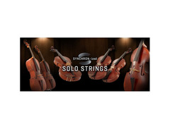 Vienna Symphonic Library Synchron-ized Package image 2