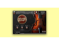 Big Fish Audio The Ultimate Vintage Bundle image 2