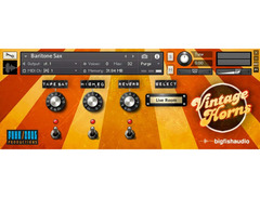 Big Fish Audio The Vintage Bundle image 3