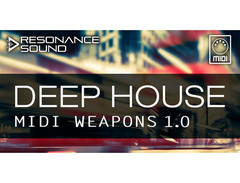 Resonance Sound Deep House Summer Bundle for Sylenth1 image 4