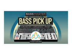 Loopmasters Plugins Bass Master Complete Expansion Pack Bundle image 2