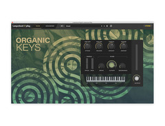 Loopcloud Plugins PLAY image 3