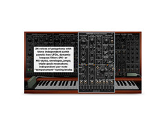 Cherry Audio PS-3300 image 2