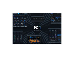 iZotope RX 11 Advanced Update from any previous version of RX Advanced image 2