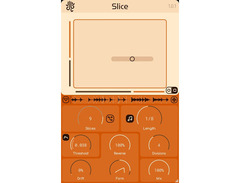 Lese Slice image 2