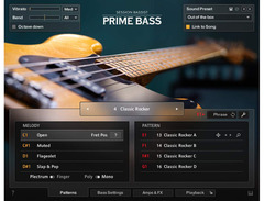 Native Instruments Session Bassist - Prime Bass image 2