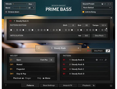 Native Instruments Session Bassist - Prime Bass image 4