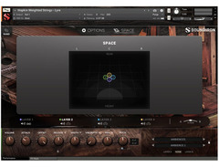 Soundiron Hopkin Instrumentarium: Chordophones image 4