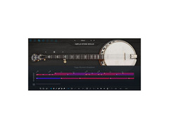 Ample Sound Ample Ethno Banjo image 3