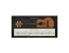 Ample Sound Ample Ethno Ukulele image 4