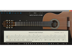 Ample Sound Ample Guitar L image 3