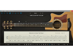 Ample Sound Ample Guitar T image 3