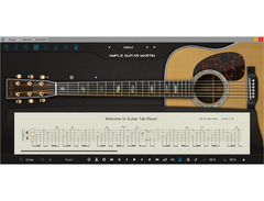 Ample Sound Ample Guitar M image 3