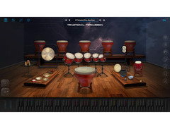 Ample Sound Ample China Traditional Percussion image 2