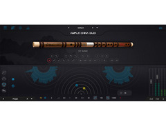 Ample Sound Ample China Qudi image 3
