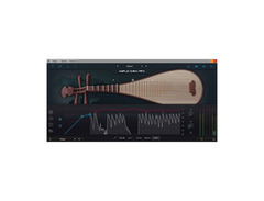 Ample Sound Ample China Pipa image 3