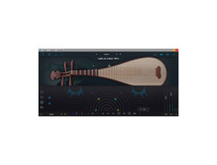 Ample Sound Ample China Pipa image 4