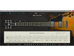 Ample Sound Ample Guitar Semi Hollow image 3