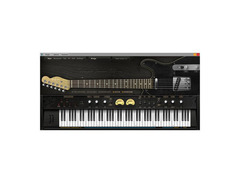 Ample Sound Ample Guitar TC image 3