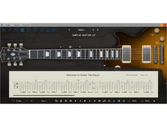 Ample Sound Ample Guitar LP image 3