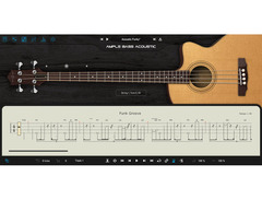 Ample Sound Ample Bass Acoustic image 2