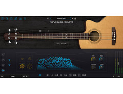 Ample Sound Ample Bass Acoustic image 3