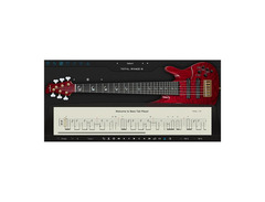 Ample Sound Ample Bass TR6 image 2