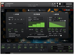 Soundiron Panacea image 4