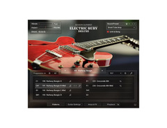 Native Instruments Session Guitarist - Electric Ruby Deluxe image 2