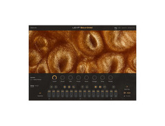 Native Instruments Leap Expansion - Soul Gold image 2