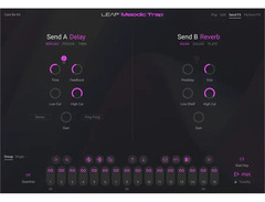 Native Instruments Leap Expansion - Melodic Trap image 2
