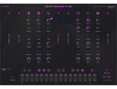 Native Instruments Leap Expansion - Melodic Trap image 3
