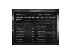 Native Instruments Session Bassist - Icon Bass image 3