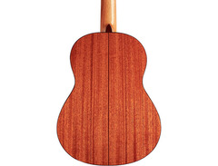 Cordoba Requinto Nylon-string Acoustic Guitar image 2