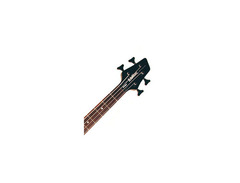Washburn MB120-GDP image 3