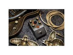 Beetronics FX Pollinator Hazee Delay Pedal image 4