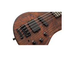 Warwick Pro Series Thumb LE Bass Guitar image 4