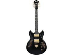 Ibanez Artcore Expressionist AS93SP Semi-hollow Electric Guitar image 2