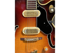 Premier Guitars Deluxe Arch Top image 4