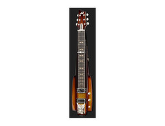 Duesenberg Fairytale Lap Steel image 2
