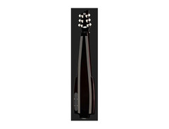 Duesenberg Fairytale Lap Steel image 3
