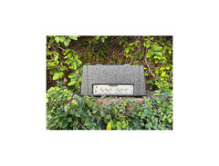 D. Kowalski Amplifiers Enigma Custom Amp Head image 3