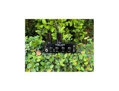 D. Kowalski Amplifiers Dark Gene Mini Amp Head image 2